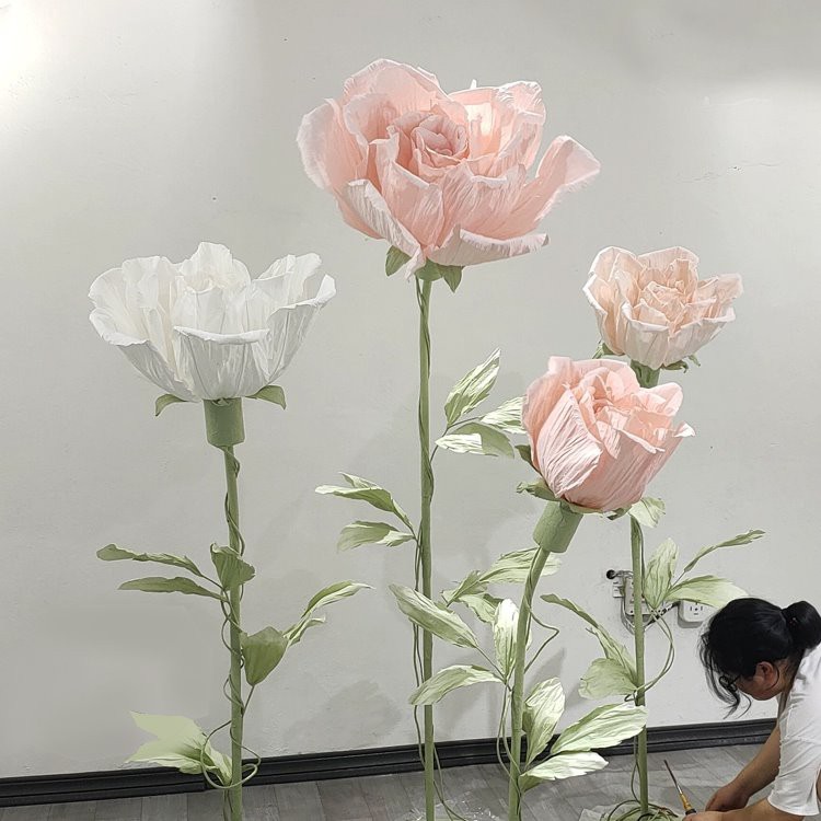 Hoa hoa hồng nở hoa hoa hồng