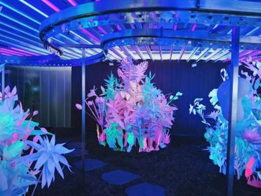 Trang trí giấy hiệu ứng huỳnh quang