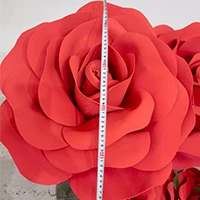Size Size